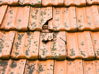 services-roof-repair